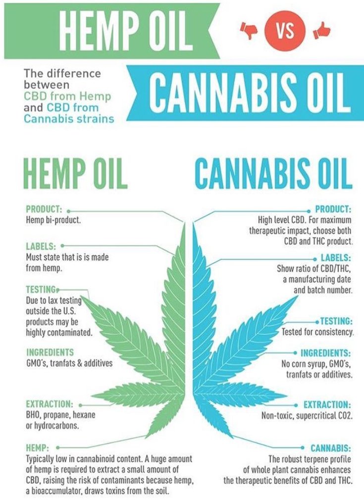 cannabis oil vs hemp oil